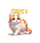 とにかくかわいい ターキッシュ・バン（個別スタンプ：37）
