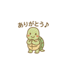アカミミガメのこふくん（個別スタンプ：1）