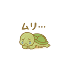 アカミミガメのこふくん（個別スタンプ：11）
