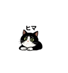 白黒猫の日常。（個別スタンプ：2）