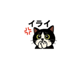白黒猫の日常。（個別スタンプ：3）