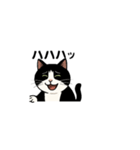 白黒猫の日常。（個別スタンプ：4）