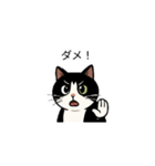 白黒猫の日常。（個別スタンプ：6）
