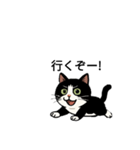 白黒猫の日常。（個別スタンプ：8）