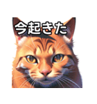 赤色のネコ（個別スタンプ：13）