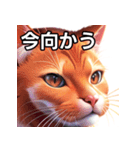 赤色のネコ（個別スタンプ：26）