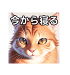 赤色のネコ（個別スタンプ：34）