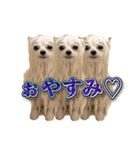 使いやすい濡れた犬のスタンプ（個別スタンプ：3）