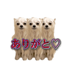 使いやすい濡れた犬のスタンプ（個別スタンプ：4）