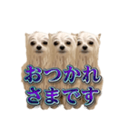 使いやすい濡れた犬のスタンプ（個別スタンプ：6）