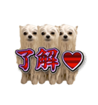 使いやすい濡れた犬のスタンプ（個別スタンプ：7）