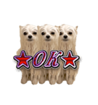 使いやすい濡れた犬のスタンプ（個別スタンプ：9）