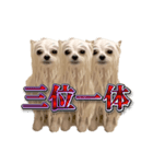 使いやすい濡れた犬のスタンプ（個別スタンプ：10）