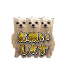 使いやすい濡れた犬のスタンプ（個別スタンプ：13）
