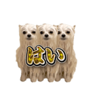 使いやすい濡れた犬のスタンプ（個別スタンプ：15）
