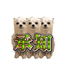 使いやすい濡れた犬のスタンプ（個別スタンプ：19）