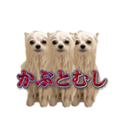 使いやすい濡れた犬のスタンプ（個別スタンプ：20）