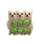 使いやすい濡れた犬のスタンプ（個別スタンプ：21）