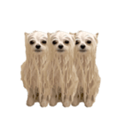 使いやすい濡れた犬のスタンプ（個別スタンプ：30）