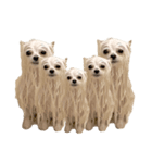 使いやすい濡れた犬のスタンプ（個別スタンプ：31）