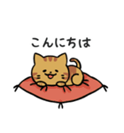 あなたのネコシリーズ5（個別スタンプ：3）