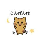 あなたのネコシリーズ5（個別スタンプ：4）