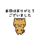 あなたのネコシリーズ5（個別スタンプ：27）