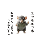 エッホエッホゆかいな仲間たち（個別スタンプ：4）