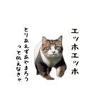 エッホエッホゆかいな仲間たち（個別スタンプ：6）