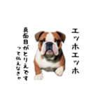 エッホエッホゆかいな仲間たち（個別スタンプ：8）
