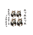 エッホエッホゆかいな仲間たち（個別スタンプ：15）