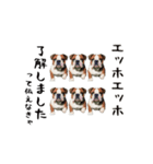 エッホエッホゆかいな仲間たち（個別スタンプ：17）