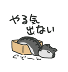 液☆体☆猫☆スタンプ（個別スタンプ：12）