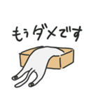 液☆体☆猫☆スタンプ（個別スタンプ：16）