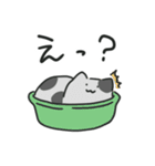 液☆体☆猫☆スタンプ（個別スタンプ：19）