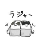 液☆体☆猫☆スタンプ（個別スタンプ：20）