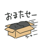 液☆体☆猫☆スタンプ（個別スタンプ：28）