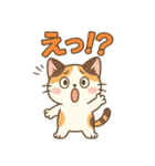 みけぽん☆ゆるかわ毎日スタンプ（個別スタンプ：14）