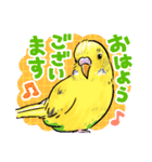 感謝と愛のインコちゃん★セキセイ＆オカメ（個別スタンプ：1）