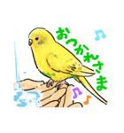 感謝と愛のインコちゃん★セキセイ＆オカメ（個別スタンプ：3）