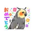 感謝と愛のインコちゃん★セキセイ＆オカメ（個別スタンプ：6）