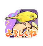 感謝と愛のインコちゃん★セキセイ＆オカメ（個別スタンプ：7）