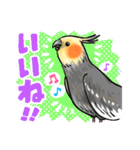 感謝と愛のインコちゃん★セキセイ＆オカメ（個別スタンプ：8）