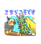 感謝と愛のインコちゃん★セキセイ＆オカメ（個別スタンプ：9）