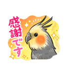 感謝と愛のインコちゃん★セキセイ＆オカメ（個別スタンプ：10）