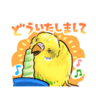 感謝と愛のインコちゃん★セキセイ＆オカメ（個別スタンプ：11）