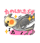 感謝と愛のインコちゃん★セキセイ＆オカメ（個別スタンプ：12）