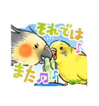 感謝と愛のインコちゃん★セキセイ＆オカメ（個別スタンプ：13）