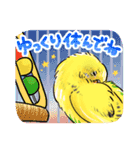 感謝と愛のインコちゃん★セキセイ＆オカメ（個別スタンプ：15）