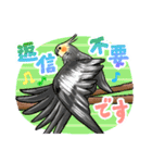 感謝と愛のインコちゃん★セキセイ＆オカメ（個別スタンプ：16）